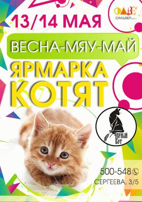 Ярмарка котят