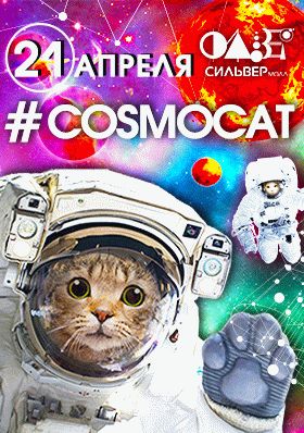 #COSMOCAT