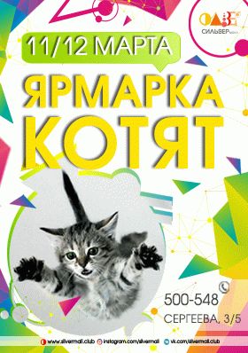 Ярмарка котят